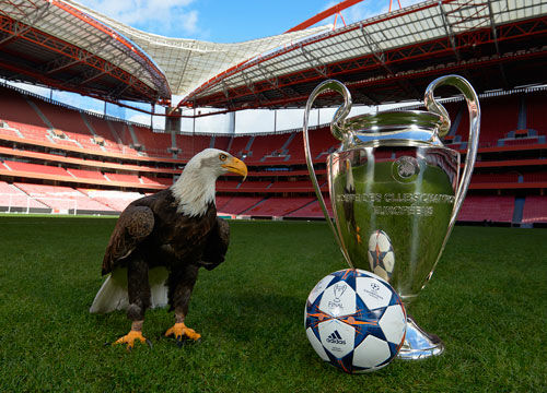 CBA：辽宁男篮主场告捷