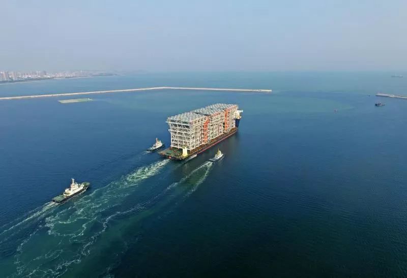 输青岛发布会！杨鸣直指缺领袖与外援差距，张陈治锋亲承能力差距